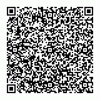 vCard 74955424985