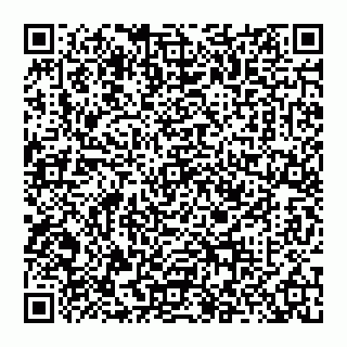 vCard 74956044133