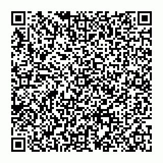 vCard 74956054002