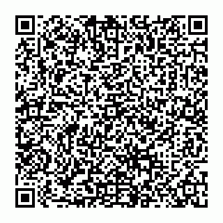 vCard 74956054131