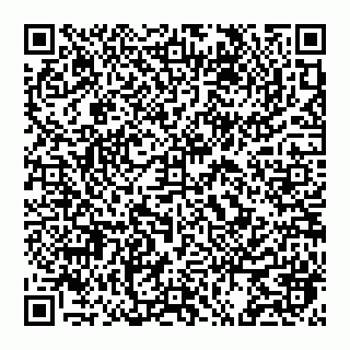 vCard 74956054133