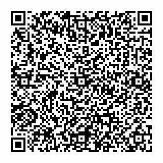 vCard 74956145038