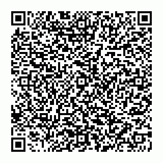 vCard 74956206379