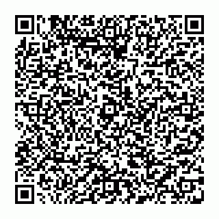vCard 74956208833