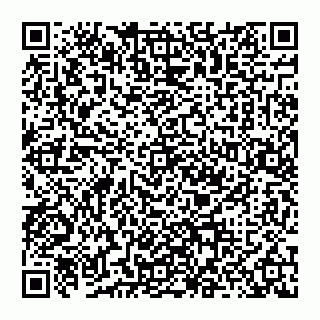 vCard 74956208931