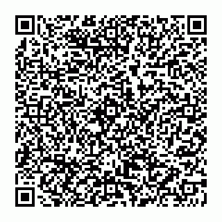 vCard 74956210339