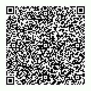 vCard 74956210376