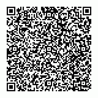 vCard 74956210382