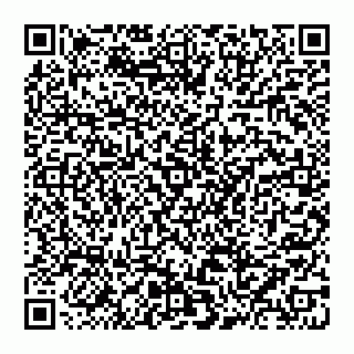 vCard 74956213003