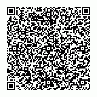 vCard 74956213103