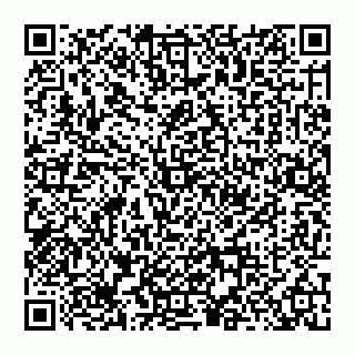 vCard 74956213132