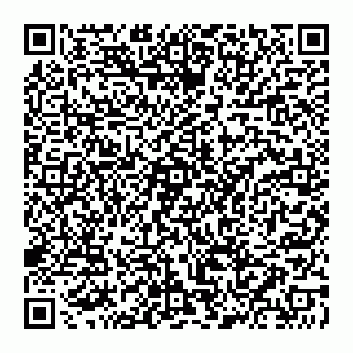 vCard 74956213333