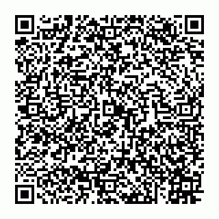 vCard 74956261987