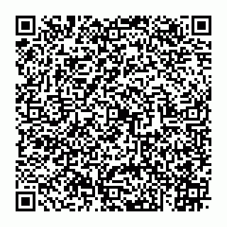 vCard 74956265029