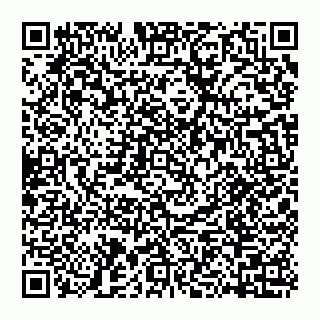 vCard 74956265031