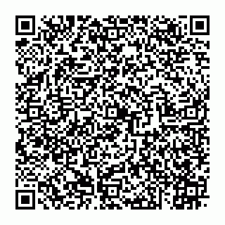 vCard 74956267032