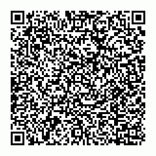 vCard 74956267038