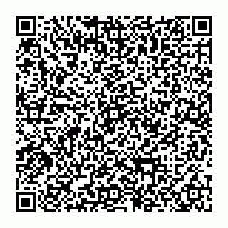 vCard 74956267041