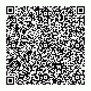 vCard 74956267095