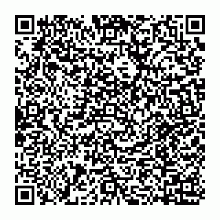 vCard 74956267133