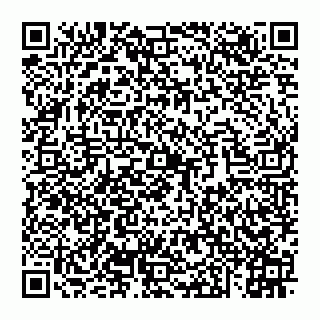 vCard 74956267187