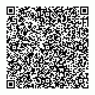 vCard 74956273539