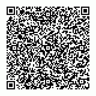vCard 74956276939