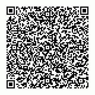 vCard 74956280376