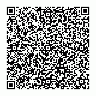 vCard 74956280378