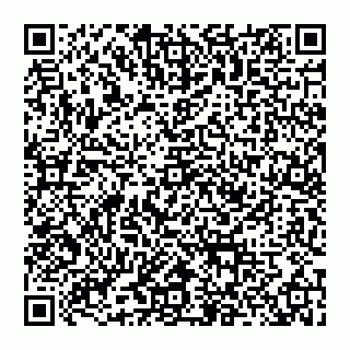 vCard 74956280385