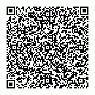 vCard 74956280387