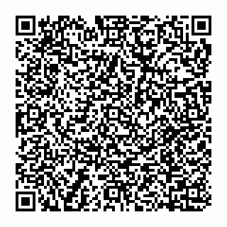 vCard 74956280393