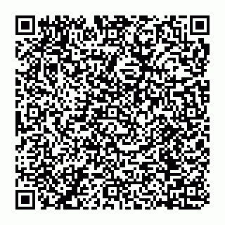 vCard 74956280395