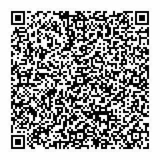 vCard 74956280409