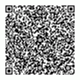 vCard 74956280410