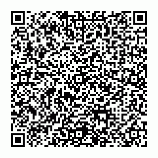 vCard 74956280411