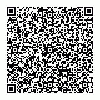 vCard 74956280420