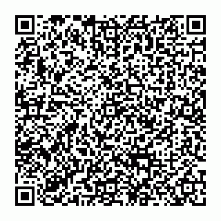 vCard 74956280527
