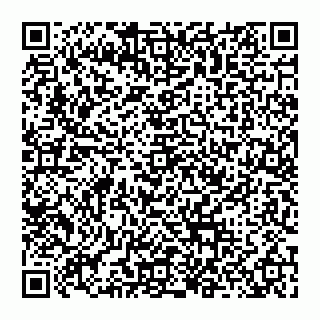 vCard 74956280709