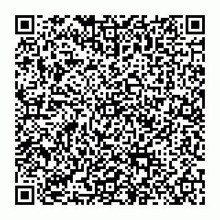 vCard 74956280729