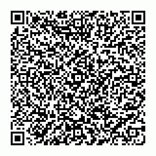 vCard 74956313415