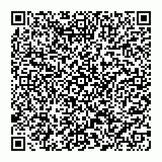 vCard 74956313534