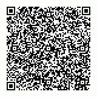 vCard 74956408379