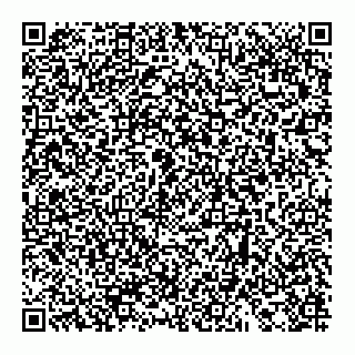 vCard 74956408381