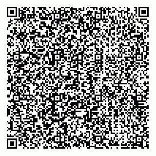 vCard 74956409878