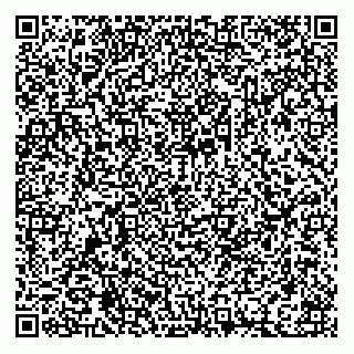 vCard 74956411109