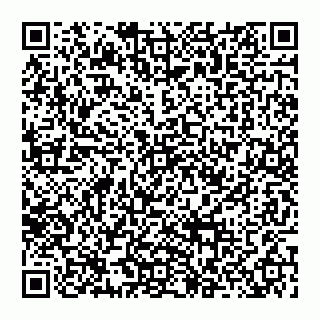 vCard 74956455620