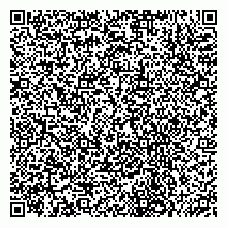 vCard 74956471381