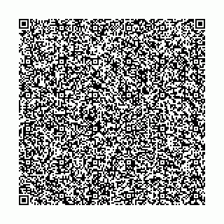 vCard 74956510777