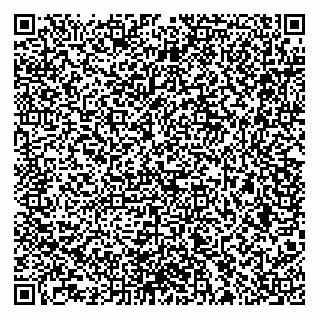 vCard 74956518629